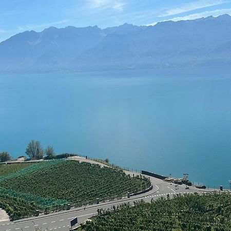 Room With 360° View Overlooking Lake Geneva And Alps Puidoux Екстер'єр фото