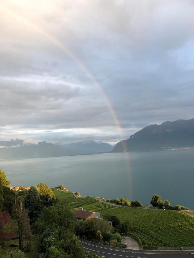 Room With 360° View Overlooking Lake Geneva And Alps Puidoux Екстер'єр фото
