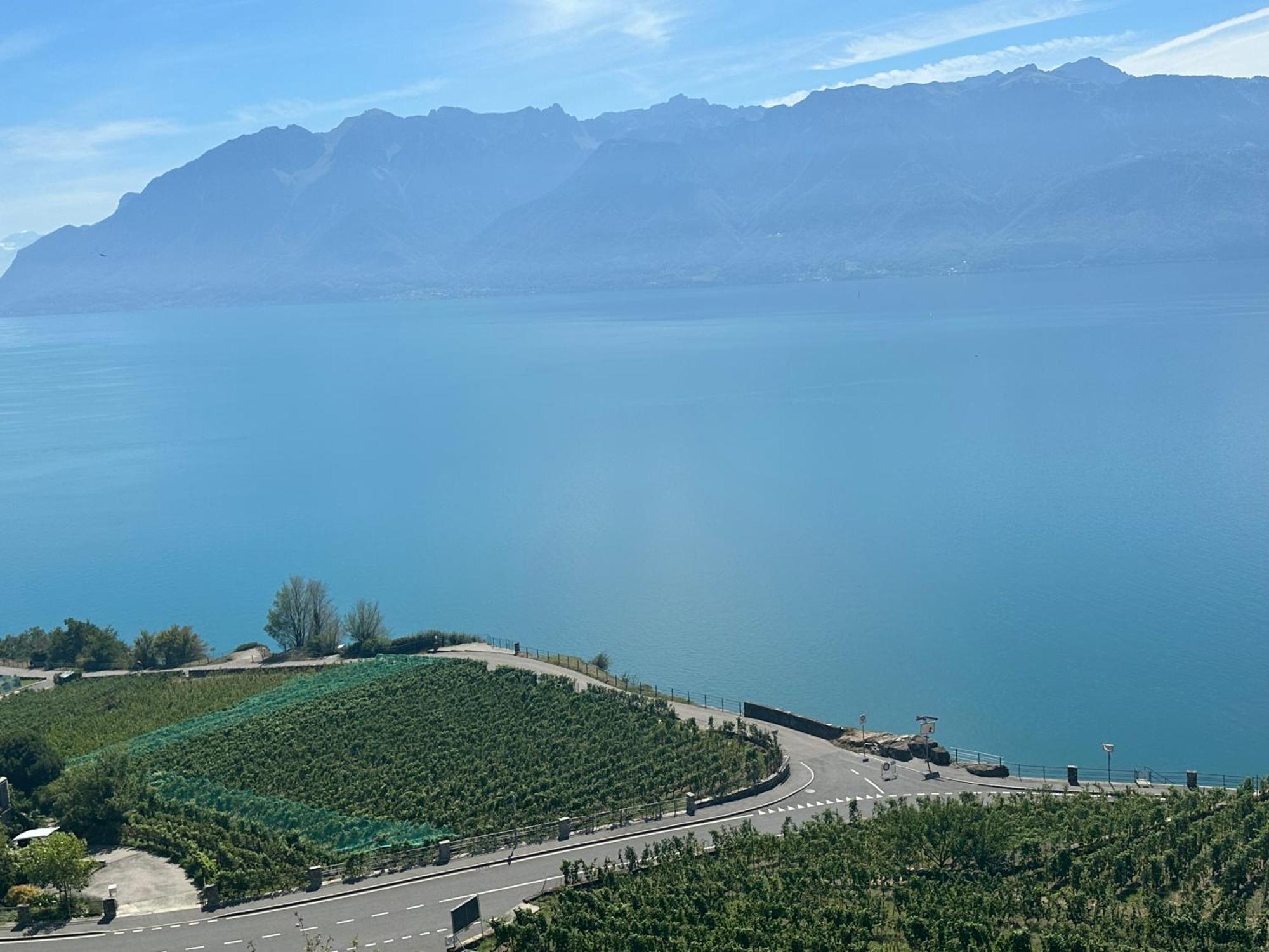 Room With 360° View Overlooking Lake Geneva And Alps Puidoux Екстер'єр фото